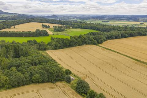 undefined, Hillside of Row, Dunblane FK15