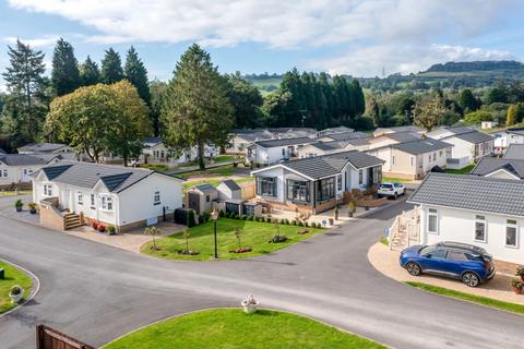 undefined, Newton Abbot, Devon, TQ12