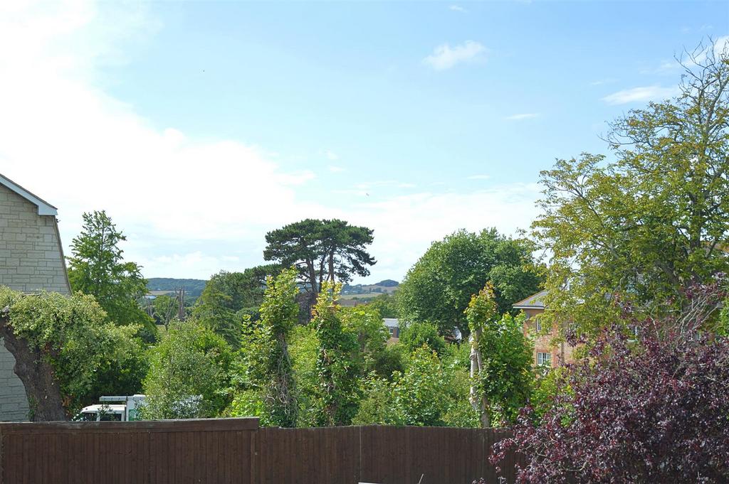 Resized View.jpg