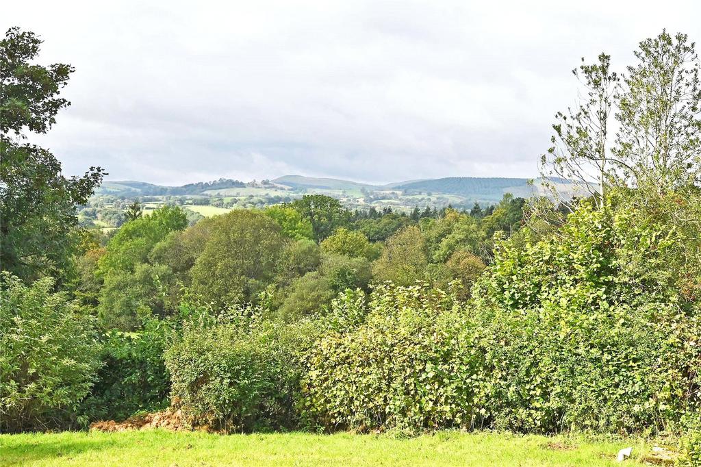 View To North