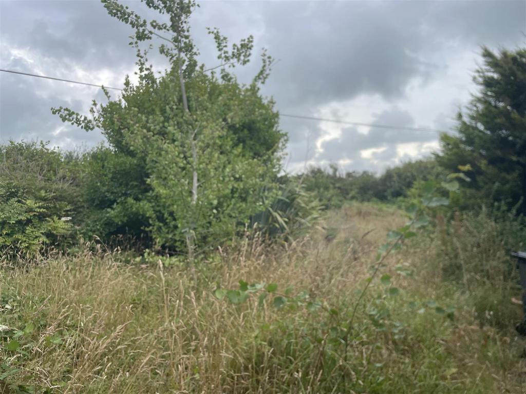 IMG 0358.jpeg