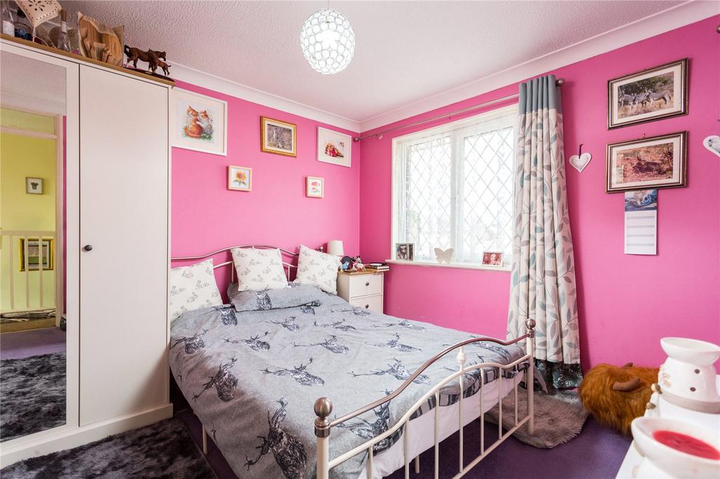 Photos