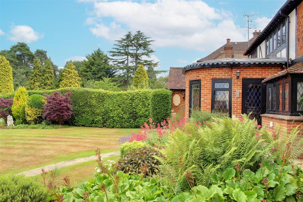 IMG 6420-IMG 6422.jpg