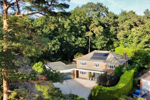 Badger Way, Farnham GU10