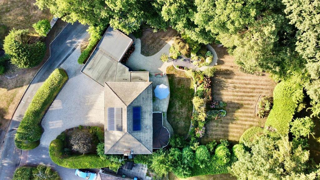 Birdseye View