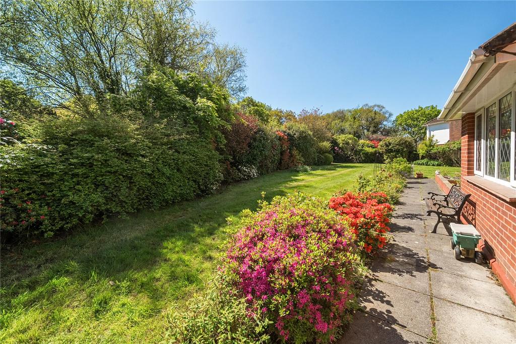 Side Garden