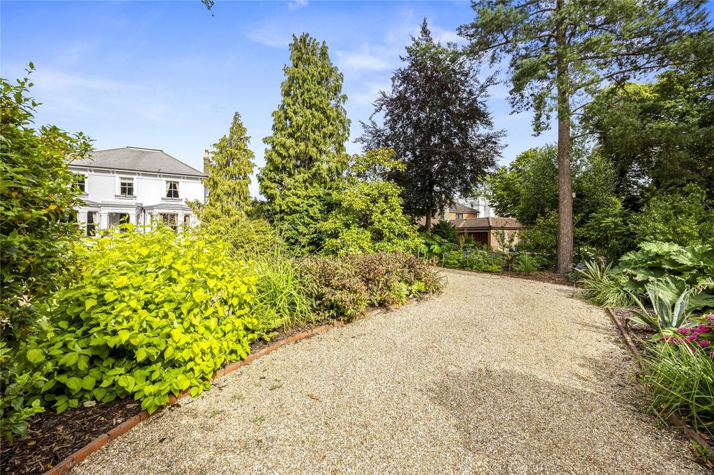 Sweeping Driveway