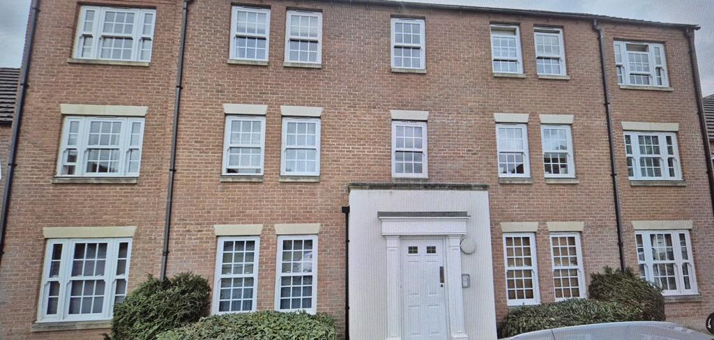 Front Aspect