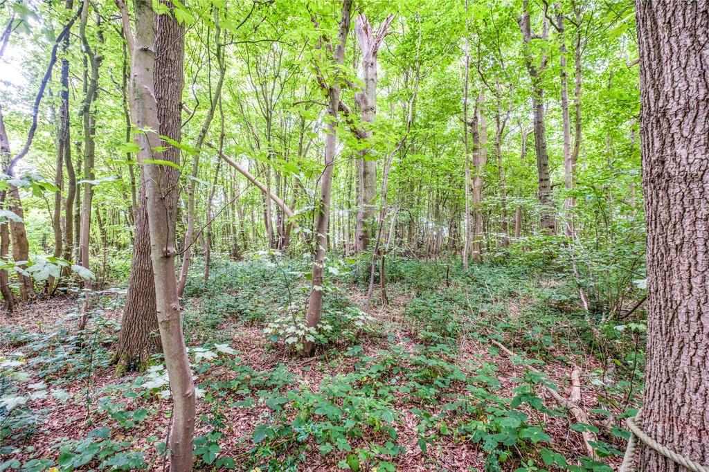 Woodland