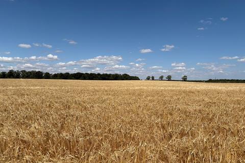 undefined, Land To Let by Tender, Newstead/Uffington, Near Stamford