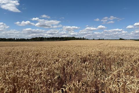 undefined, Land To Let by Tender, Newstead/Uffington, Near Stamford