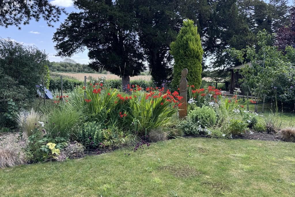 Img 5961