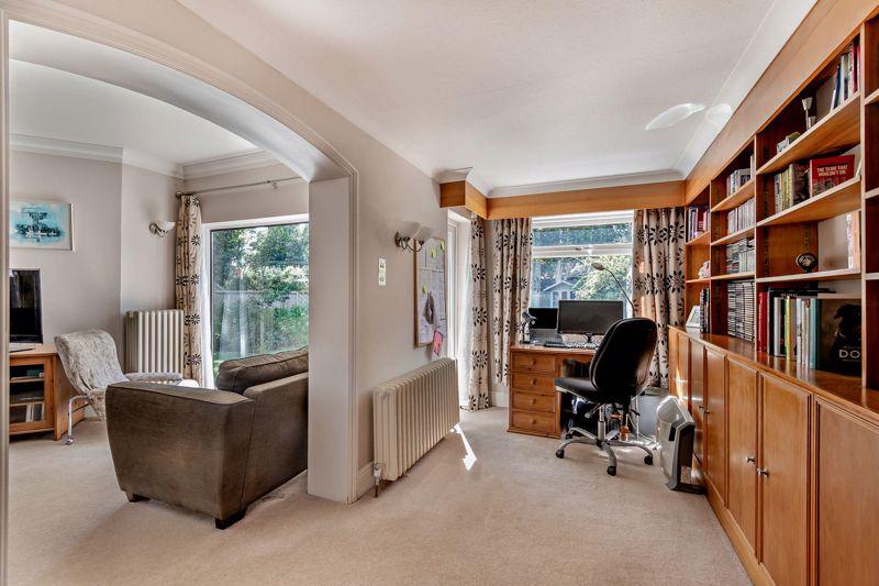 Study Area
