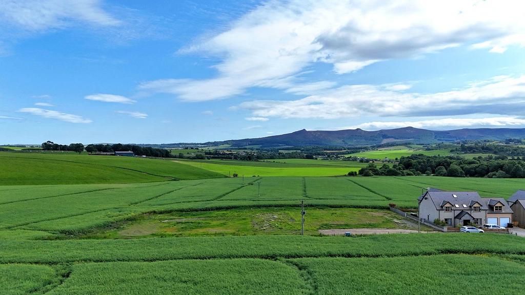 Site View