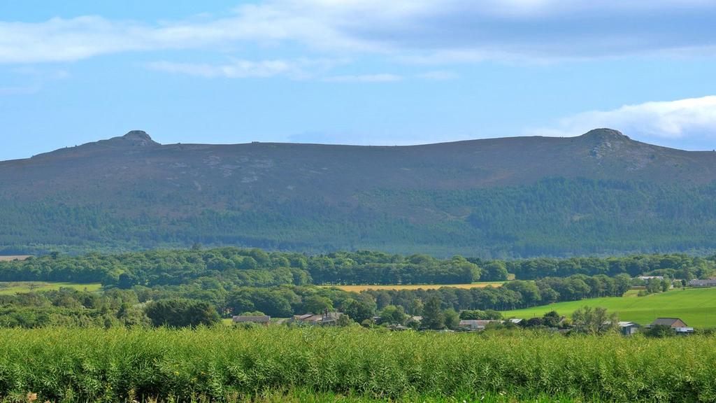 Site View