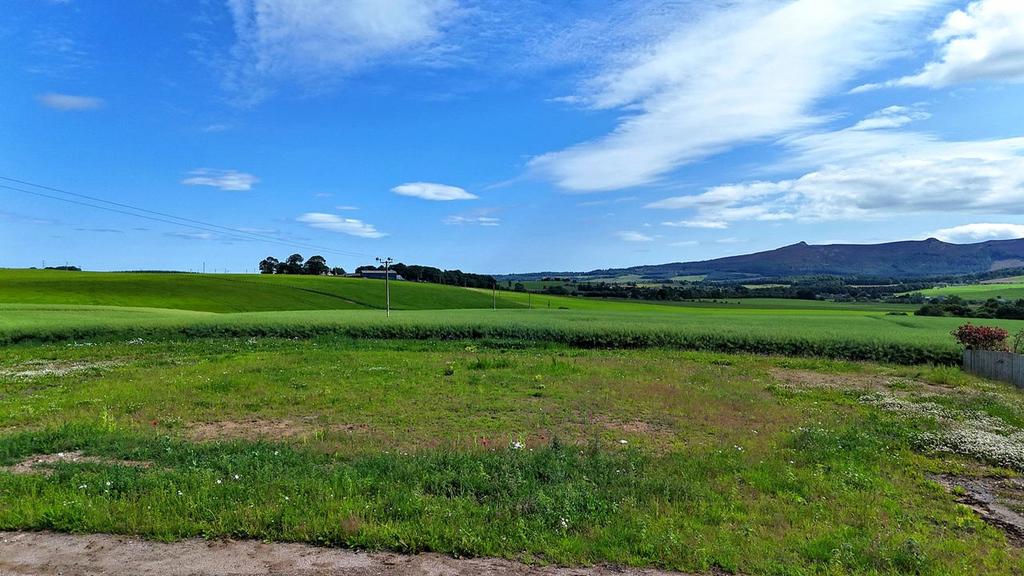 Site