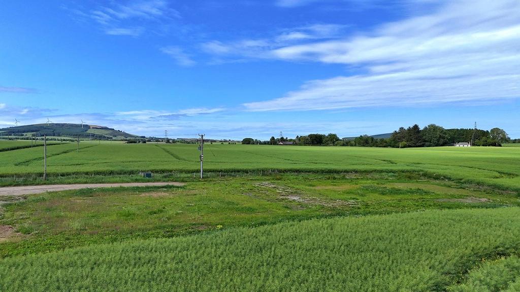 Site