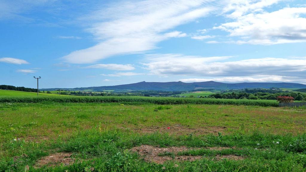 Site