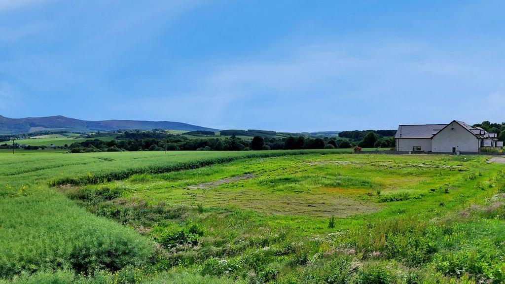 Site