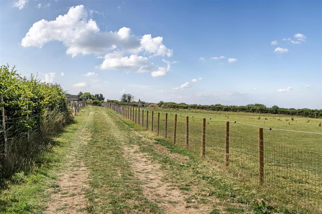 Track Round Paddocks.jpg