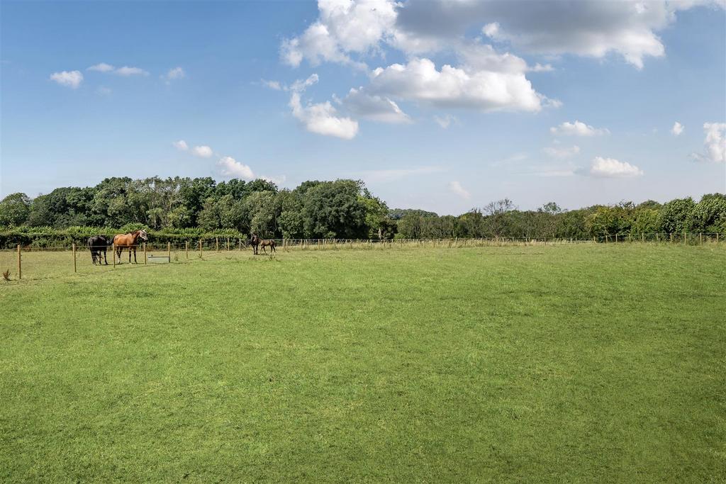 Paddocks 2.jpg