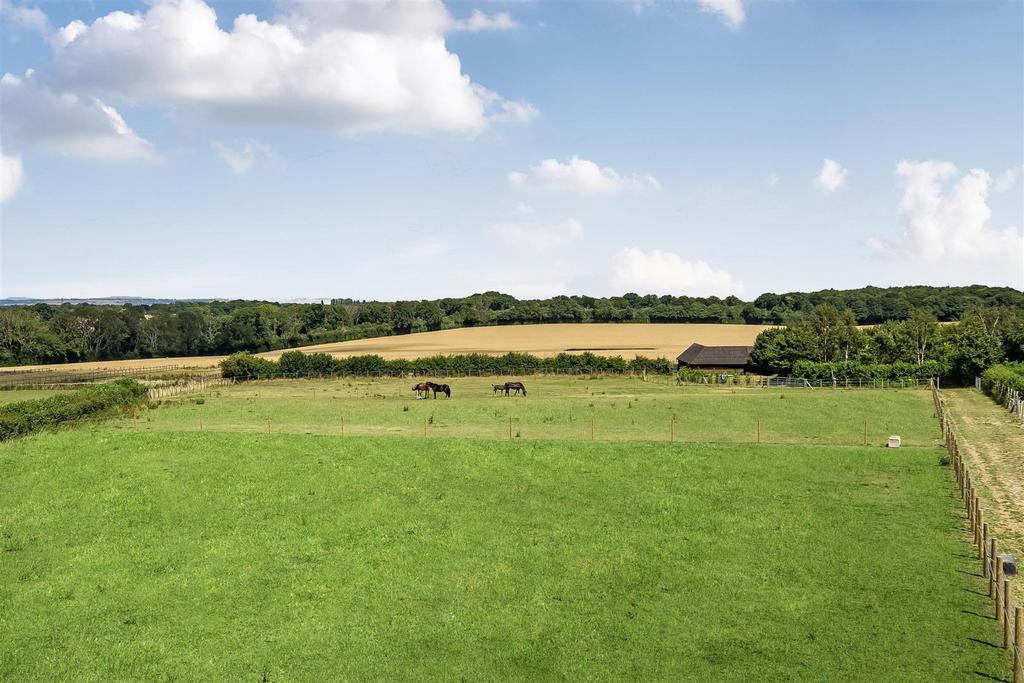 Paddocks.jpg