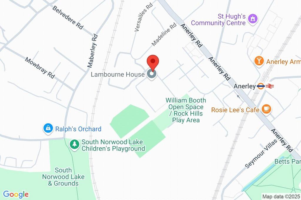 Google Maps Image