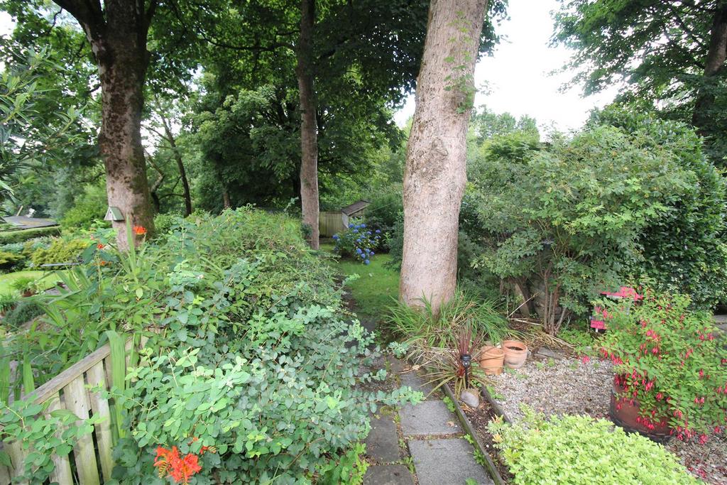Img 8890.jpg