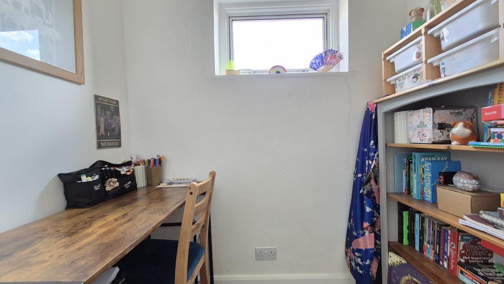 Study Area