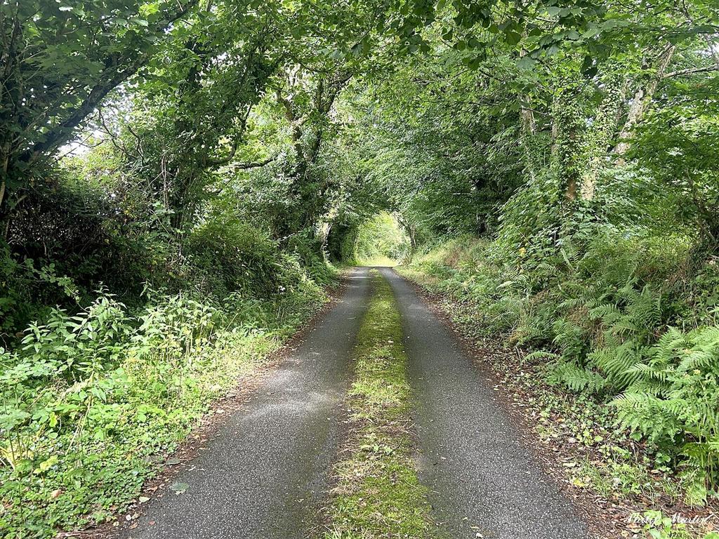 IMG 6346.jpg