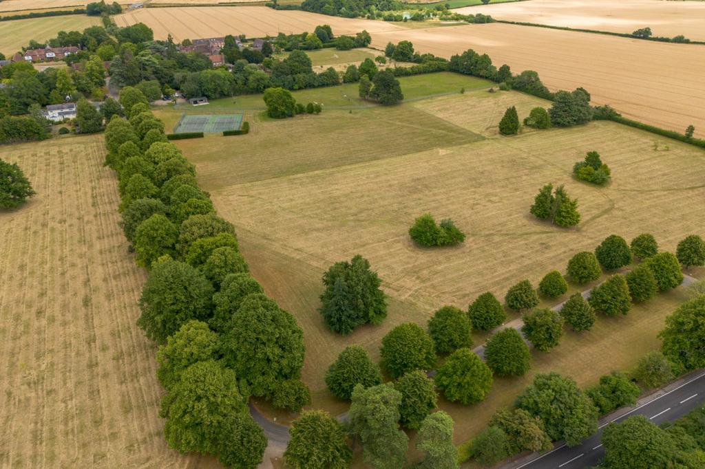 Grounds