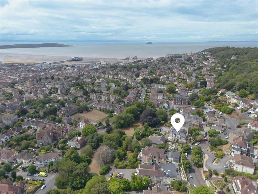 Drone View