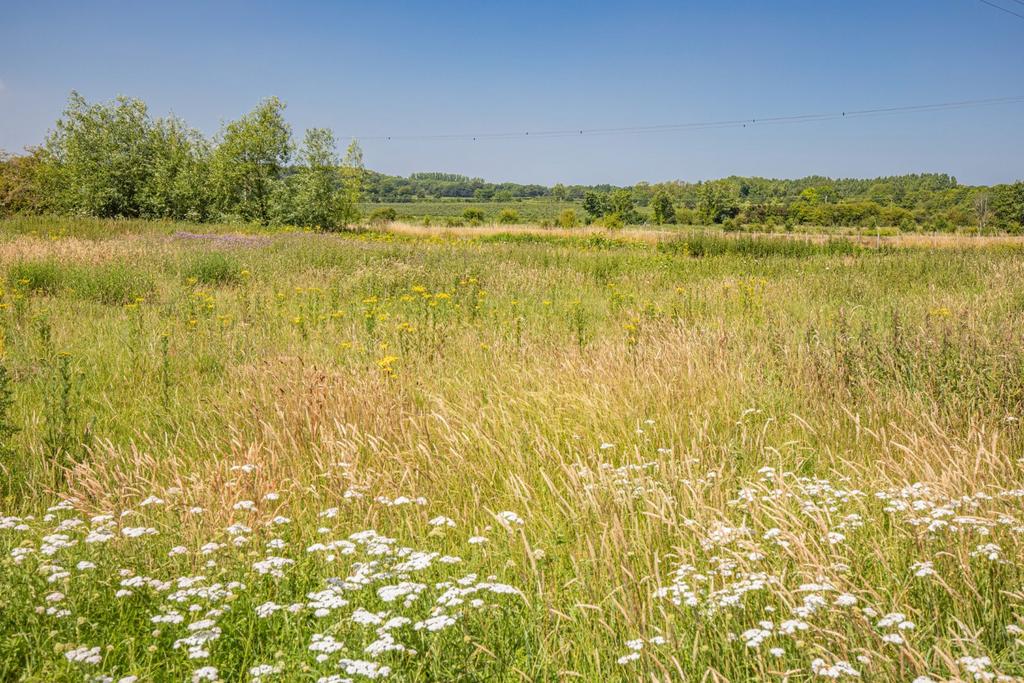 Grounds