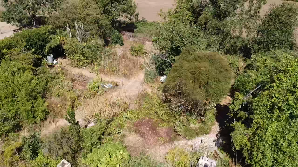 2025 07 18 11 05 17 512.png