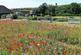 Additional image 11 of 85 High Street, Rottingdean, Brighton, East Sussex, BN2