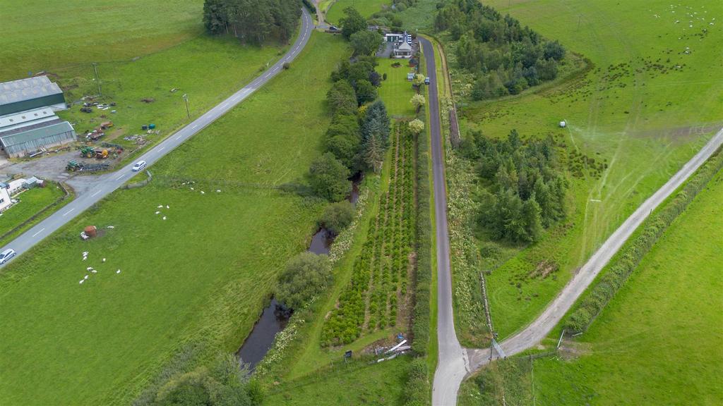 DJI 0919.jpg