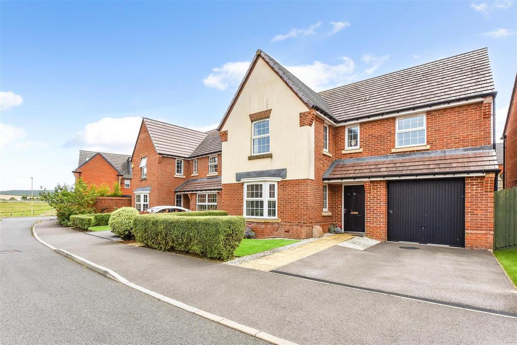 Sketch Ph1 6106871.jpg