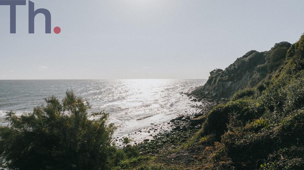 Dji 20241004160830 0384 d