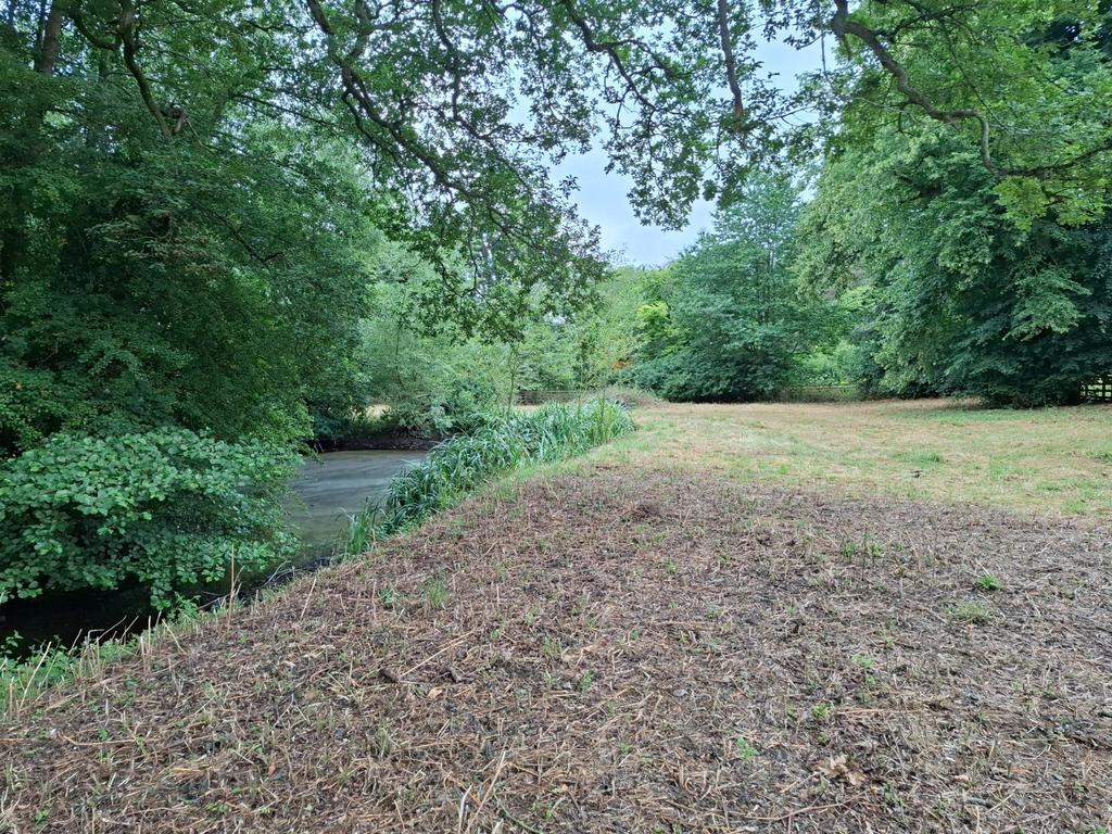Pond