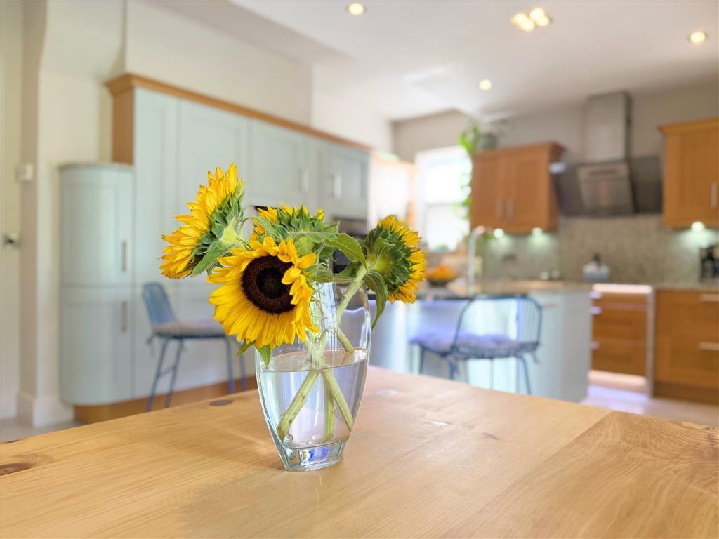 14 (Medium).JPG