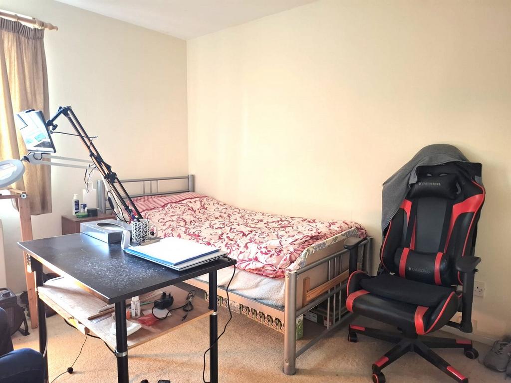 Picture 5