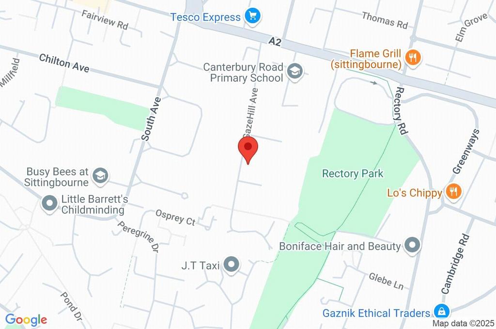 Google Maps Image