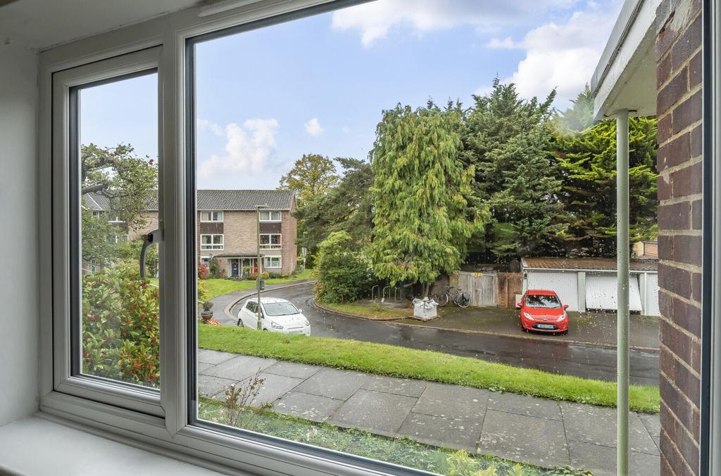 Front Window View