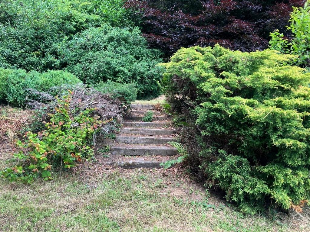 New garden 2.jpg