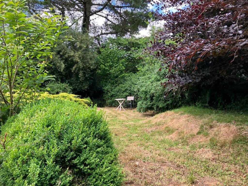 New garden.jpg