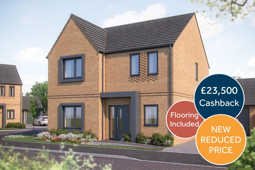 Hollin Bank Plot 8