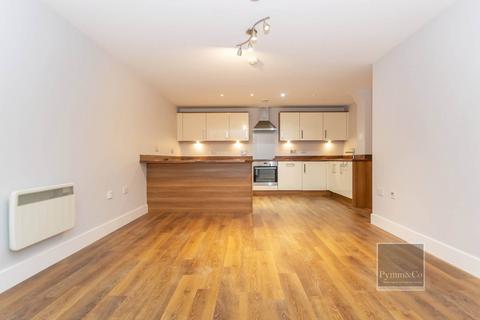 18 Benjamin Gooch Way, Norwich, NR2 2TL