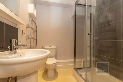 18 Benjamin Gooch Way, Norwich, NR2 2TL