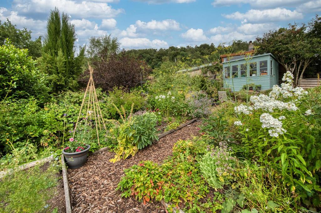 Rear Garden - flowers and shed.jpg