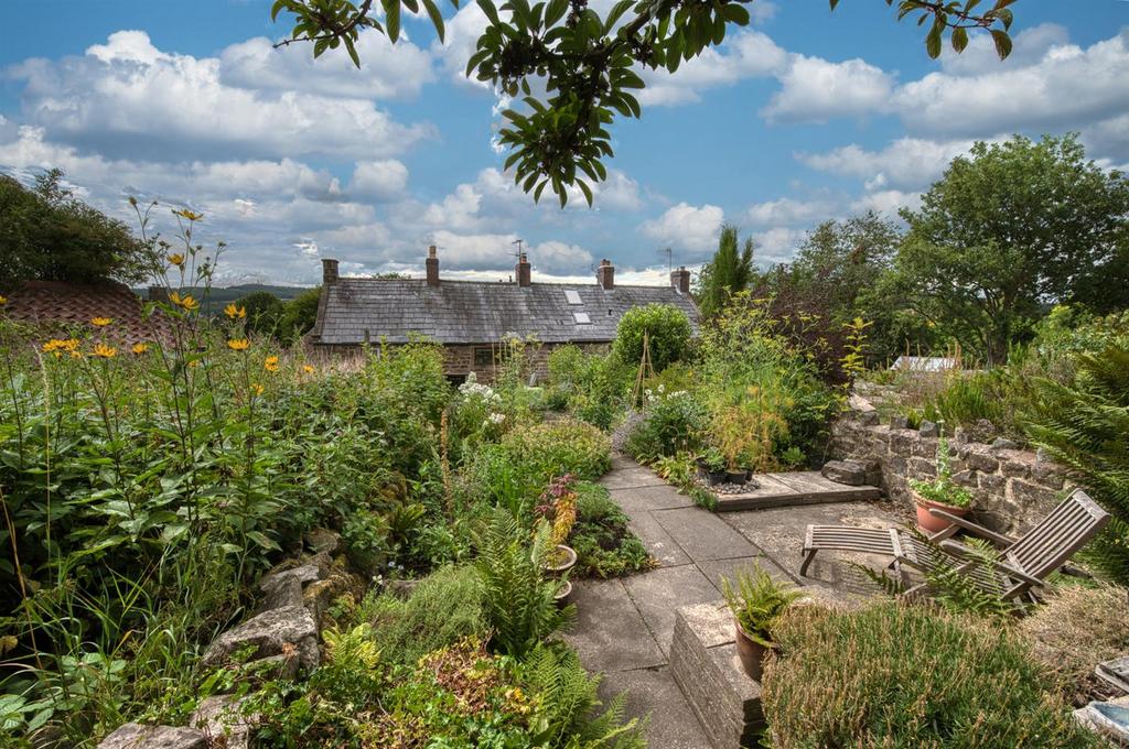 Rear Garden - patio .jpg